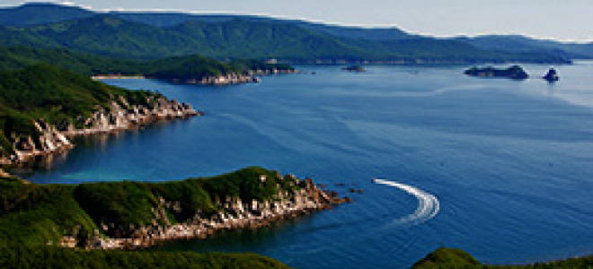 Рыбы японское море