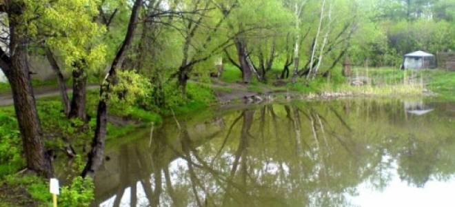 Отзывы о рыбалке в омске