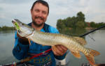 Рыбалка на реке Кубань: уловистые места и отзывы рыбаков