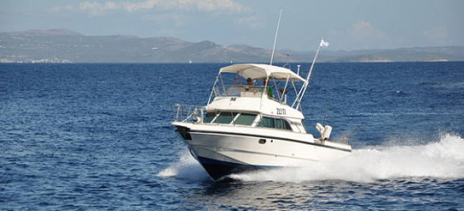 Морские рыбы хорватии