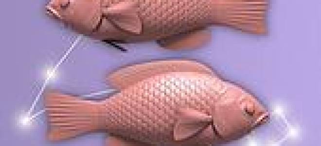 Рыбы знак зодиака в постели