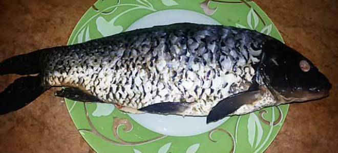 Карп со сметаной и луком