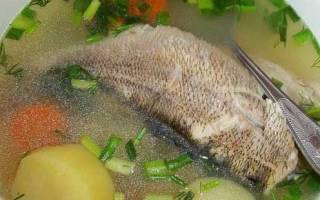 Как варить филе белой рыбы