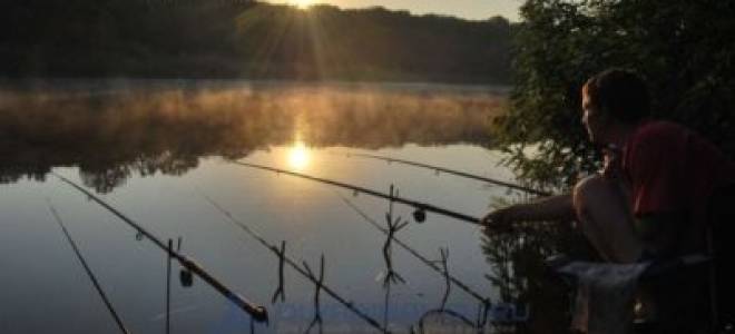 Во сколько ночью клюет карп