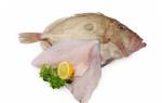 Энотера рыба и морепродукты