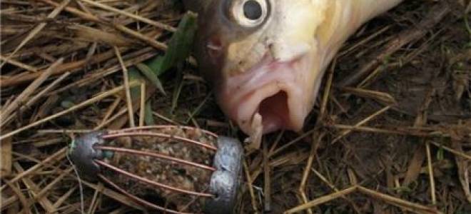 Из чего сделать кормушку для леща