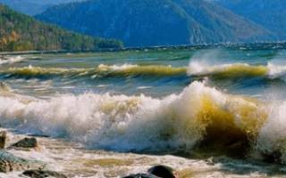 Какая рыба водится на телецком озере видео