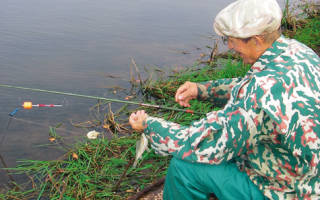 Озеро великое рязанская область рыбалка видео