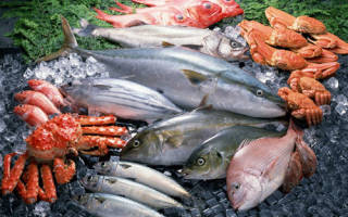 Список названий морских рыб с фото: съедобные рыбы