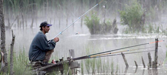 Рыбалка на немане в белоруссии