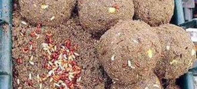 Приманка для леща летом своими руками видео