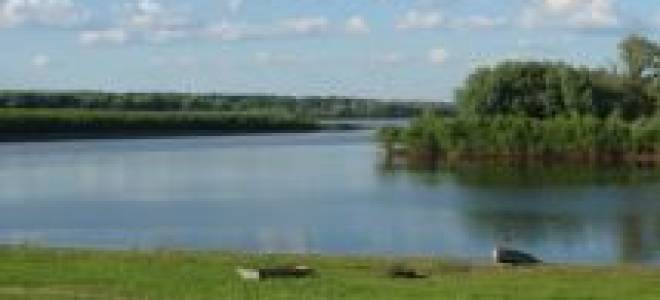 Щука на реке ишим