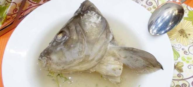 Сколько варить карпа для ухи