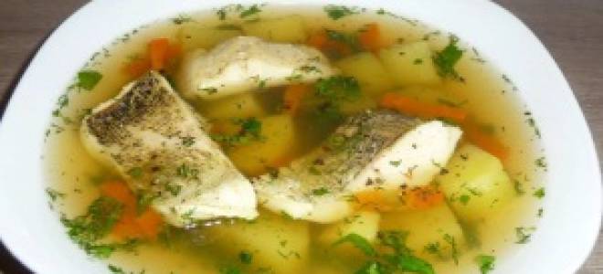 Варится ли уха из щуки