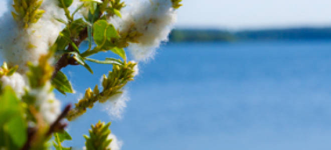 Река озерна места для рыбалки отзывы