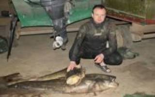 Подводная охота в Астрахани в октябре
