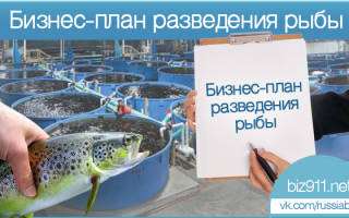 Выращивание рыбы как бизнес рыбоводный модуль