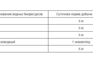 Запрет на ловлю щуки в 2019 году