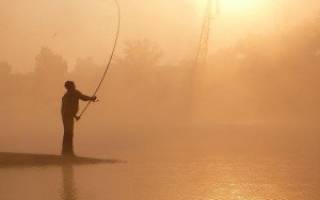 Какой выбрать спиннинг для рыбалки