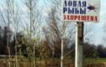 Мурманск запрет на ловлю рыбы