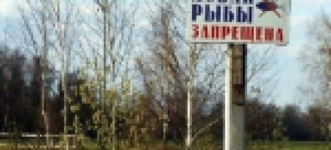 Мурманск запрет на ловлю рыбы