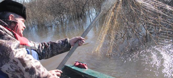Ловля хариуса в свердловской области разрешена