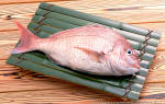 «Золотая рыбка морской окунь: его польза и вред для человека