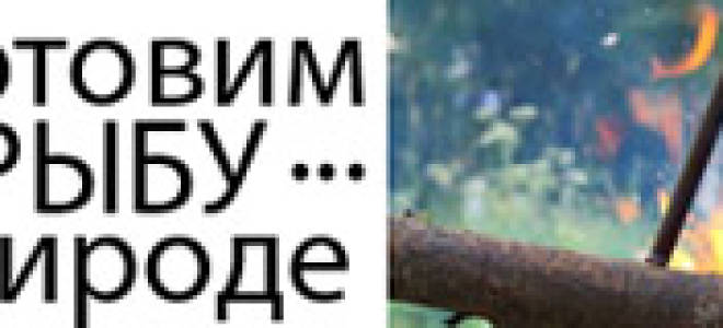 Щука 4 кг как приготовить