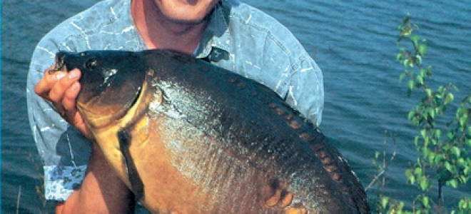 Как ловить карпа в карьере