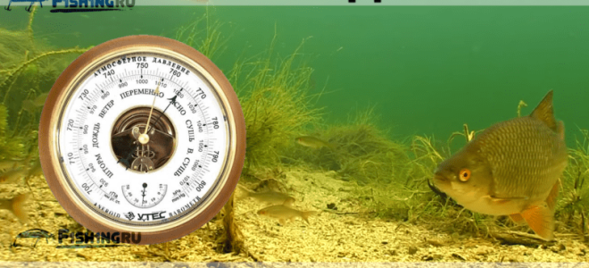 Какое давление идеально для рыбалки осенью