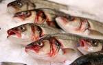 Опасные для человека паразиты в речной рыбе