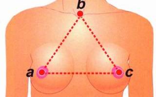 груди + 200 ФОТО