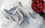 Зимняя рыбалка на тюльку видео