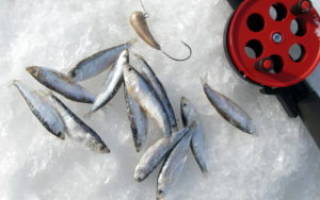 Зимняя рыбалка на тюльку видео