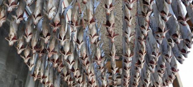 Сколько должна солиться рыба