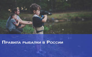 Запрещенные виды ловли рыбы в россии