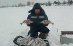 Санки для рыбалки зимой своими руками