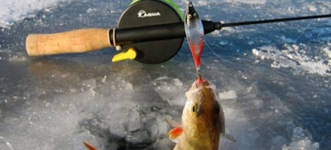 Ловля окуня зимой на блесну видео подо льдом