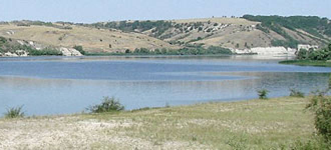 Клев рыбы в цимлянске