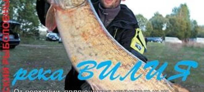 Ловля налима на реке вилия