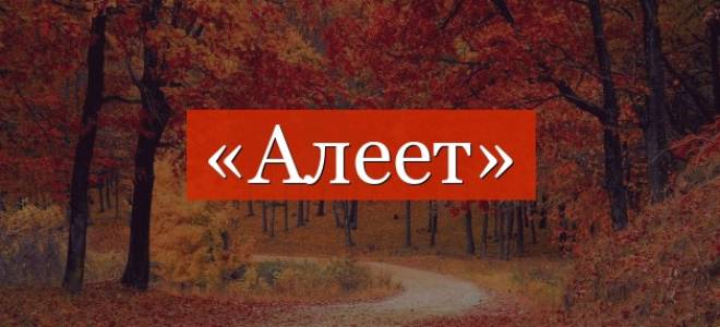 Фонетический разбор слова налим