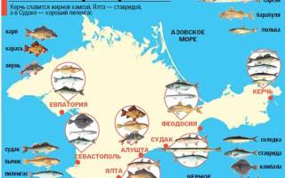 Платная рыбалка в Крыму: лучшие озера