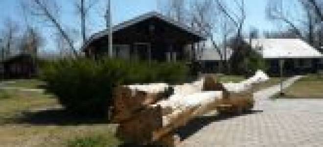 Рыбалка на ахтубе база успех