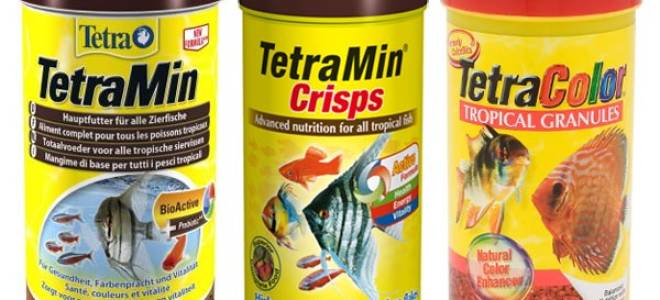 Сколько времени можно не кормить рыбок?