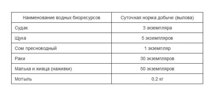 Запрет на ловлю щуки в 2019 году