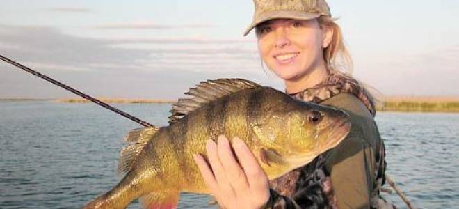 Зимняя ловля окуня на живца