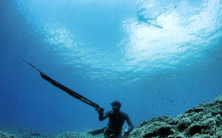 Подводная охота в чистой воде видео