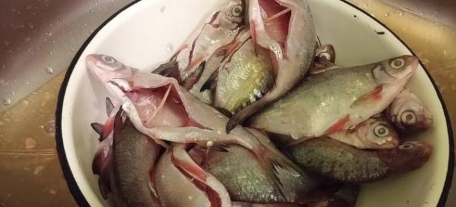 Как посолить жирную рыбу