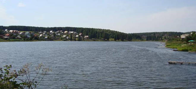 Платная рыбалка каменское